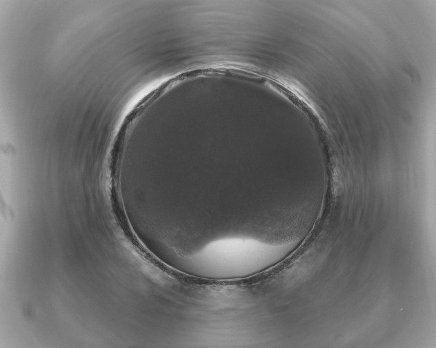 X0000091101024200708131102