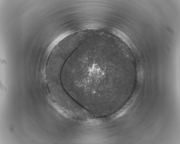 X0000091101026200708131102