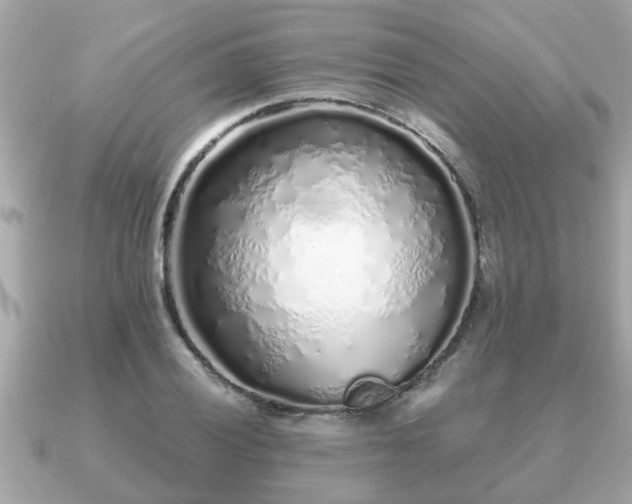 X0000091101028200708131102