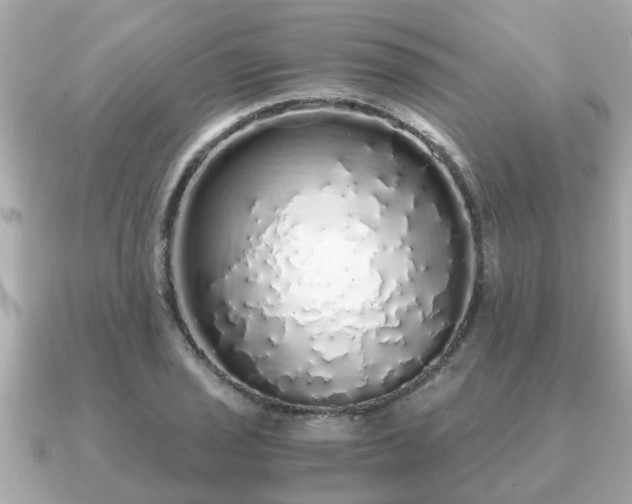 X0000091101029200708131102