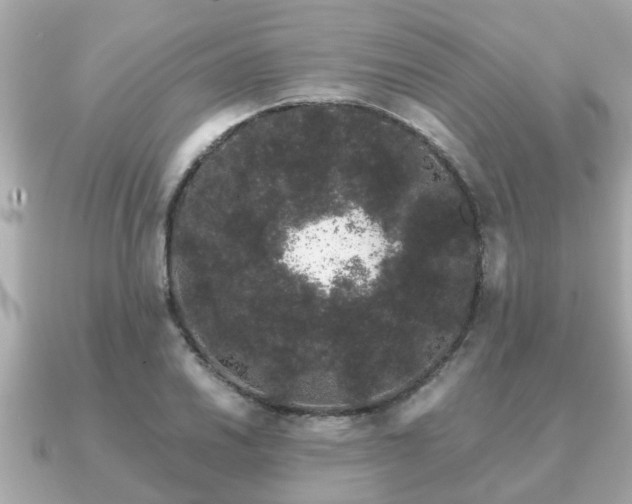 X0000091101030200708131102