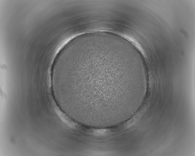 X0000091101031200708131102