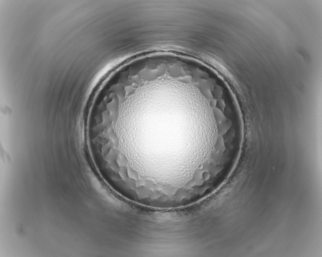 X0000091101032200708131102