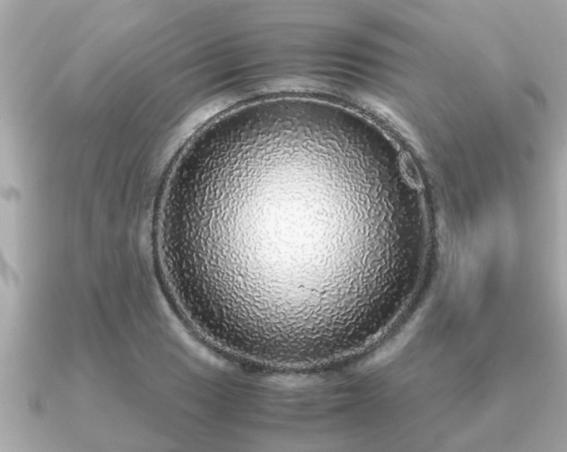 X0000091101033200708131102