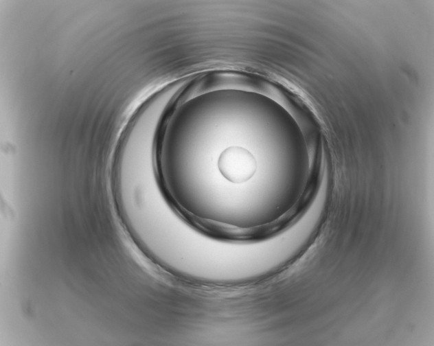 X0000091101034200708131102