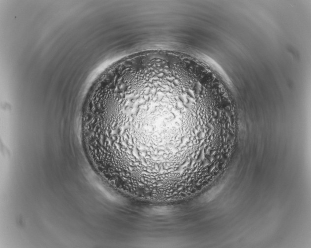 X0000091101035200708131102