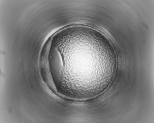 X0000091101036200708131102