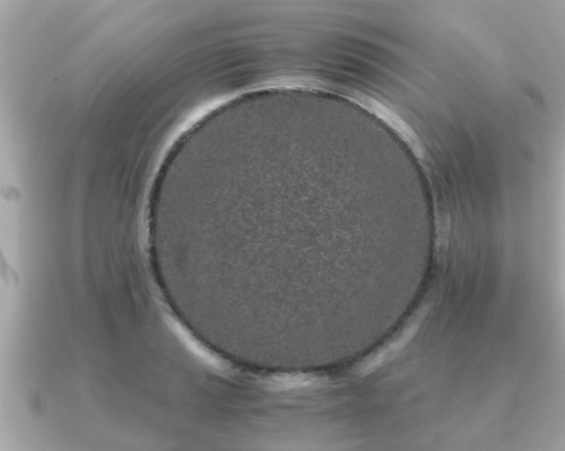 X0000091101037200708131102