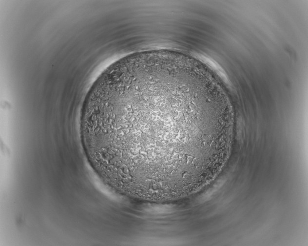 X0000091101039200708131102