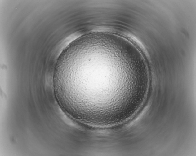 X0000091101041200708131102