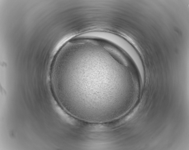 X0000091101042200708131102