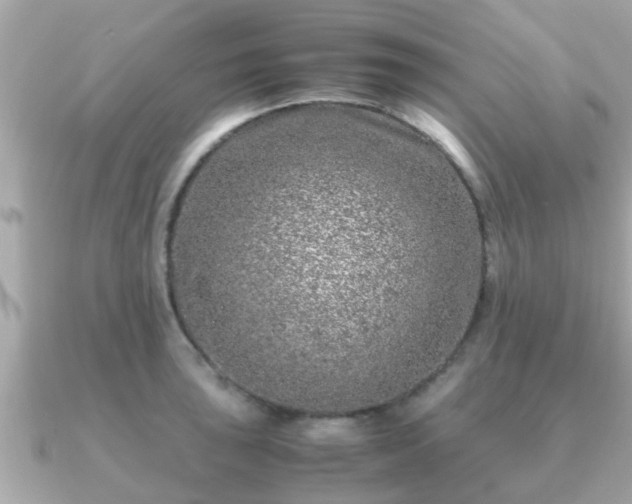 X0000091101043200708131102