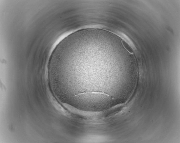 X0000091101044200708131102