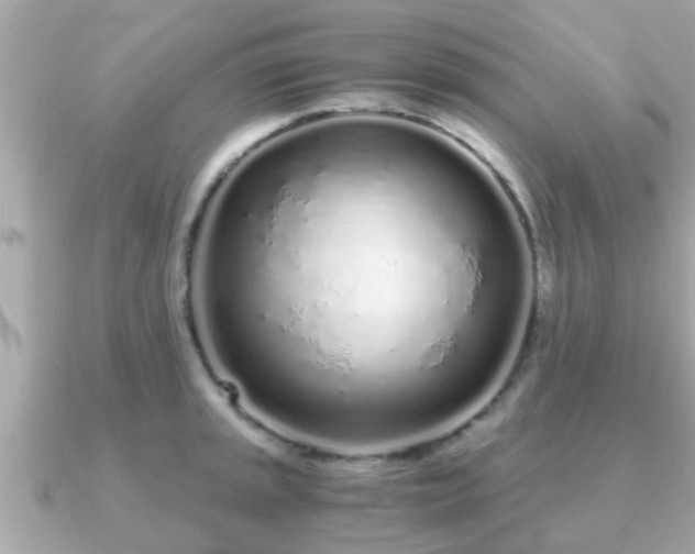 X0000091101045200708131102