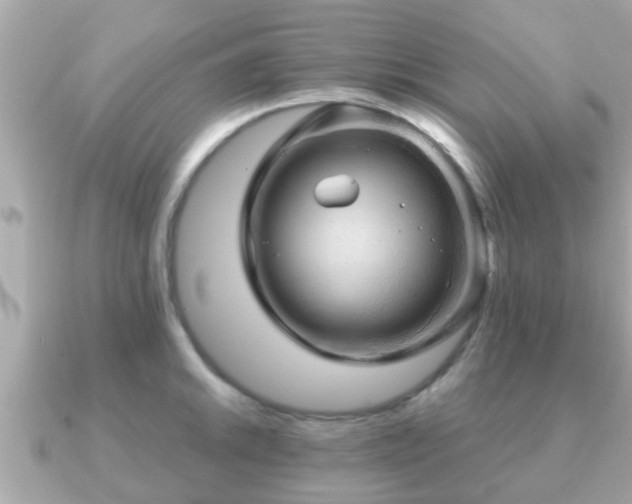 X0000091101046200708131102