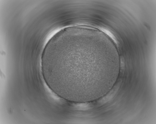 X0000091101047200708131102