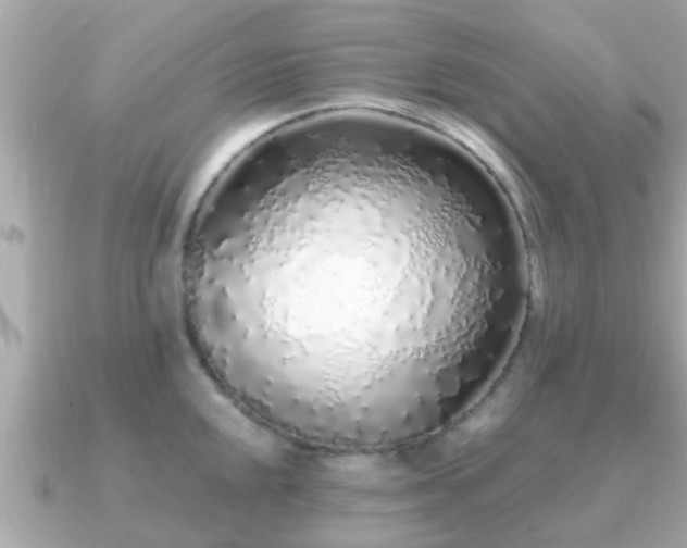 X0000091101048200708131102