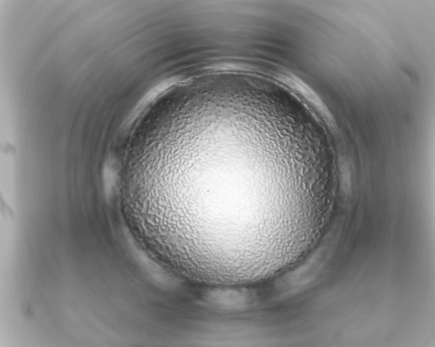 X0000091101049200708131102