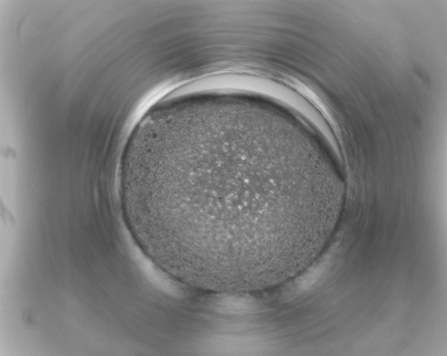 X0000091101050200708131103