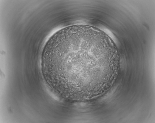 X0000091101051200708131103