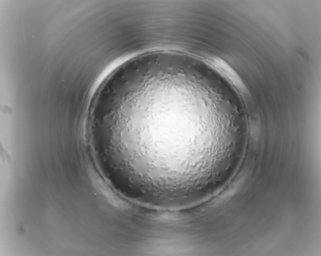 X0000091101052200708131103