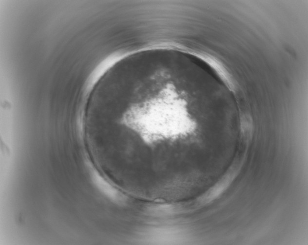 X0000091101054200708131103