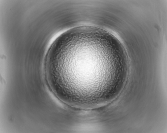 X0000091101056200708131103