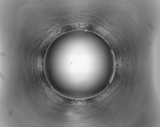 X0000091101058200708131102