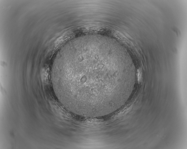 X0000091101059200708131102