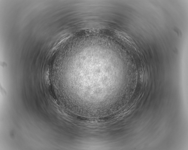 X0000091101060200708131102