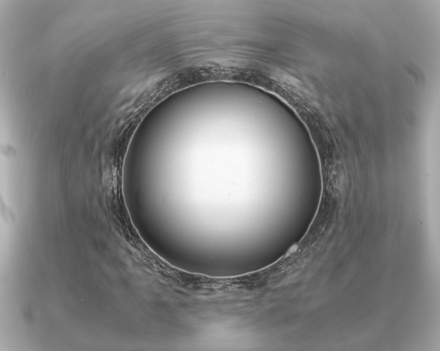 X0000091101061200708131102