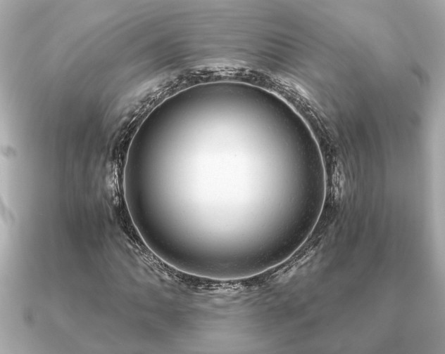 X0000091101062200708131102