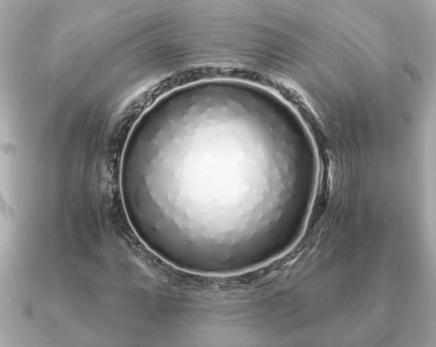 X0000091101064200708131102