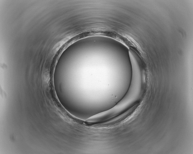 X0000091101065200708131102