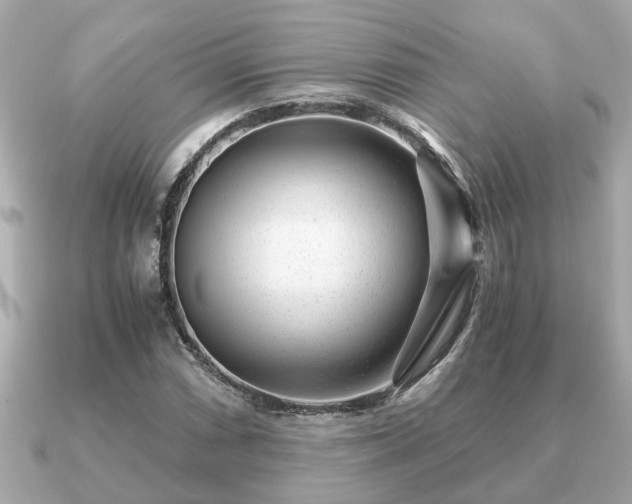 X0000091101066200708131102