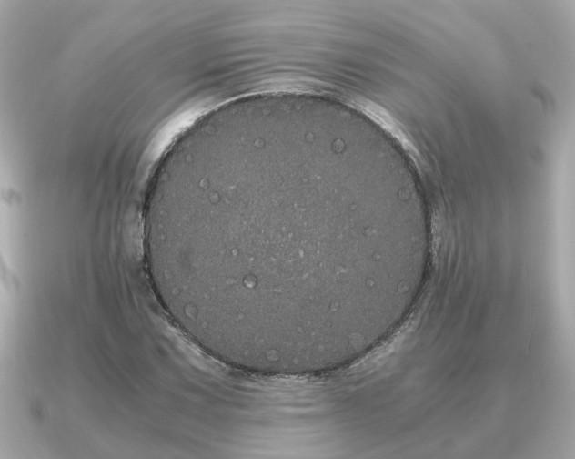 X0000091101067200708131102