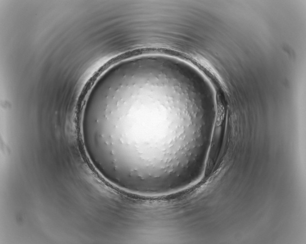 X0000091101068200708131102