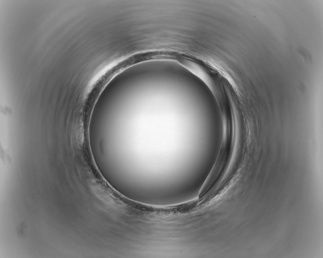 X0000091101069200708131102