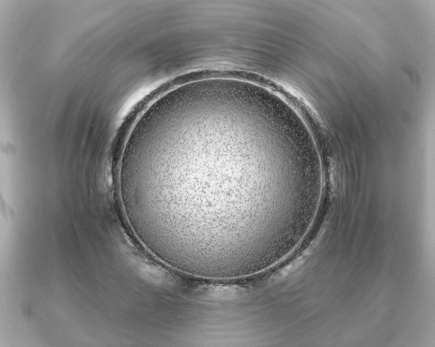 X0000091101070200708131102