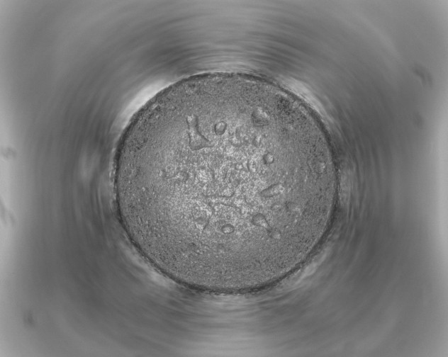 X0000091101071200708131102