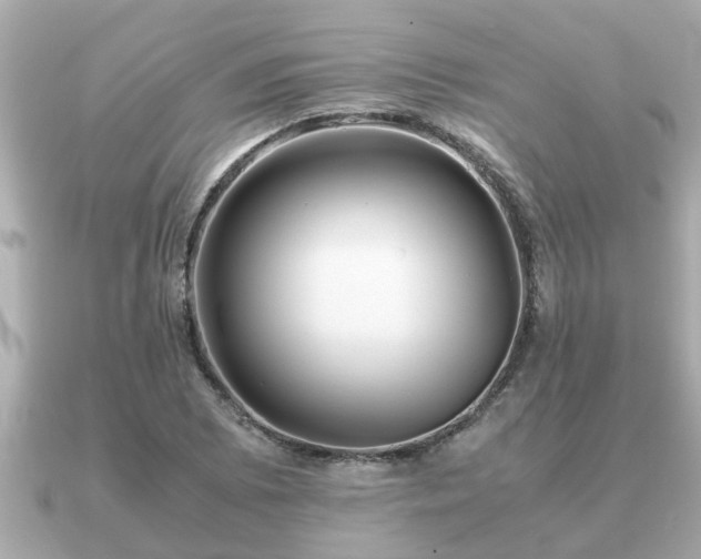 X0000091101073200708131102