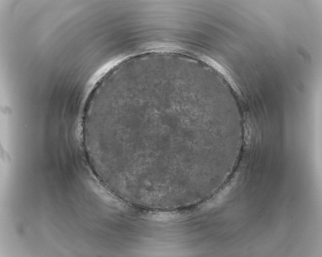 X0000091101074200708131102