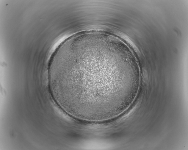 X0000091101075200708131102