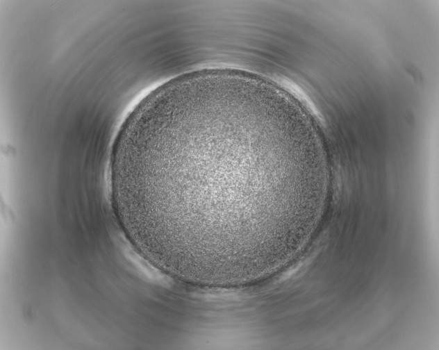 X0000091101076200708131102