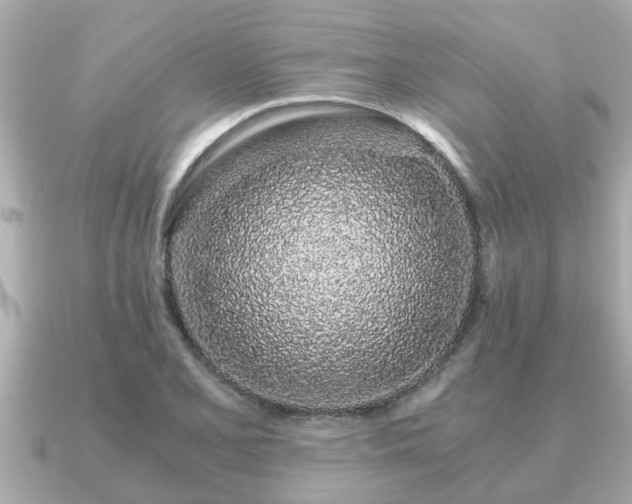 X0000091101077200708131102