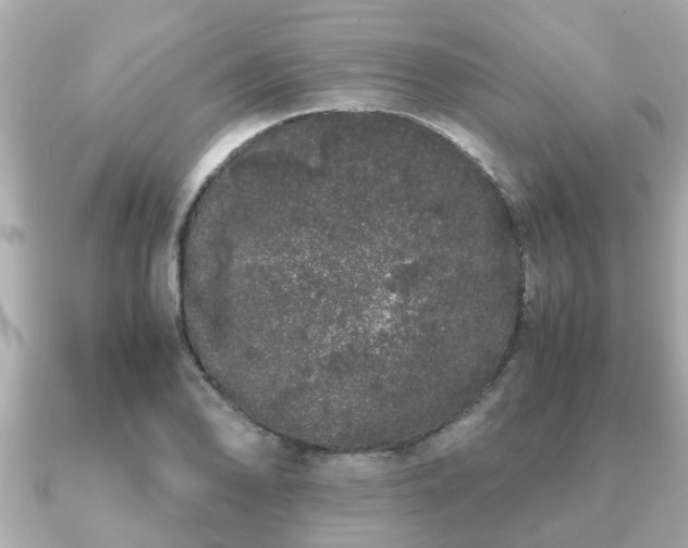 X0000091101078200708131102