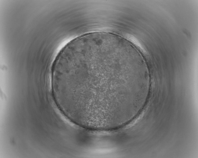 X0000091101079200708131102