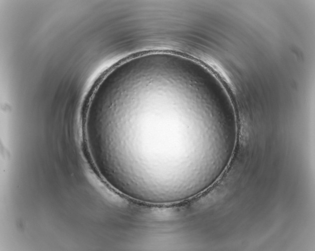 X0000091101080200708131102