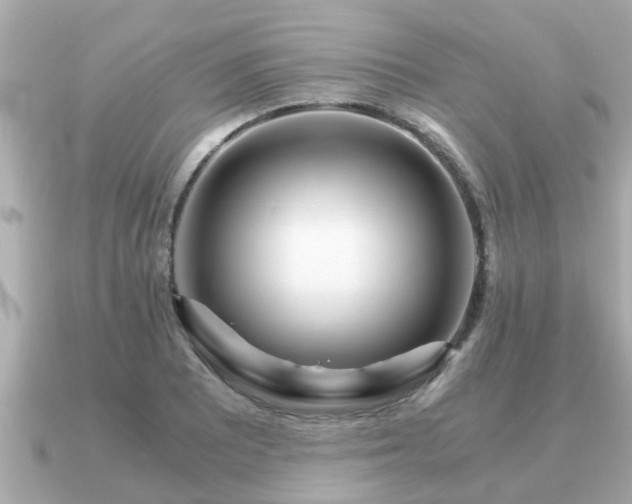 X0000091101081200708131102