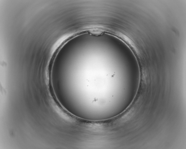 X0000091101082200708131102